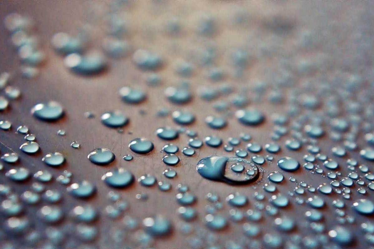 Grains of coffee, just-ground